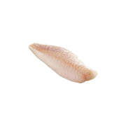 Panga fish