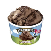 BEN N JERRY CHOCOLATE FUDGE 100ML X12