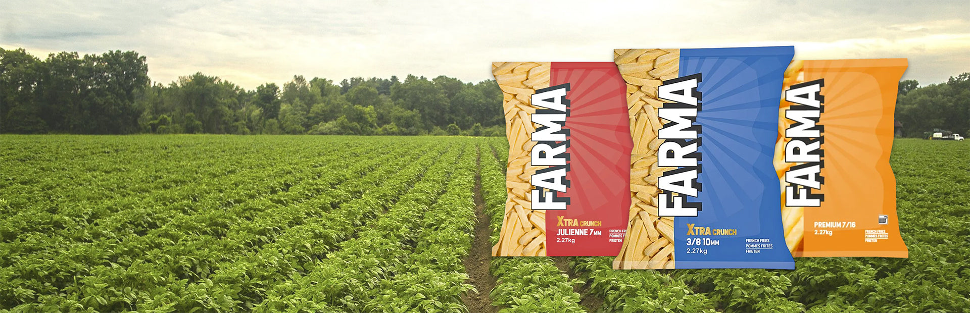 Express Food Service Midlands Ltd